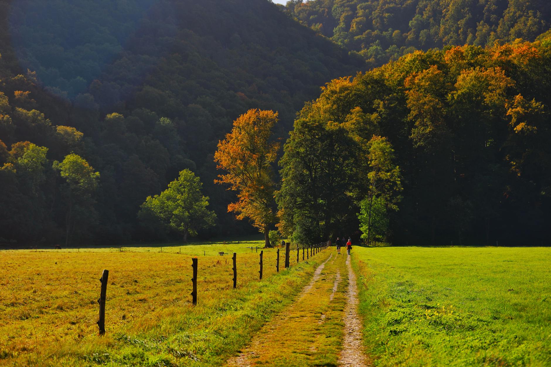 GR70 Chemin Stevenson Cévennes Mont Lozère randonnée