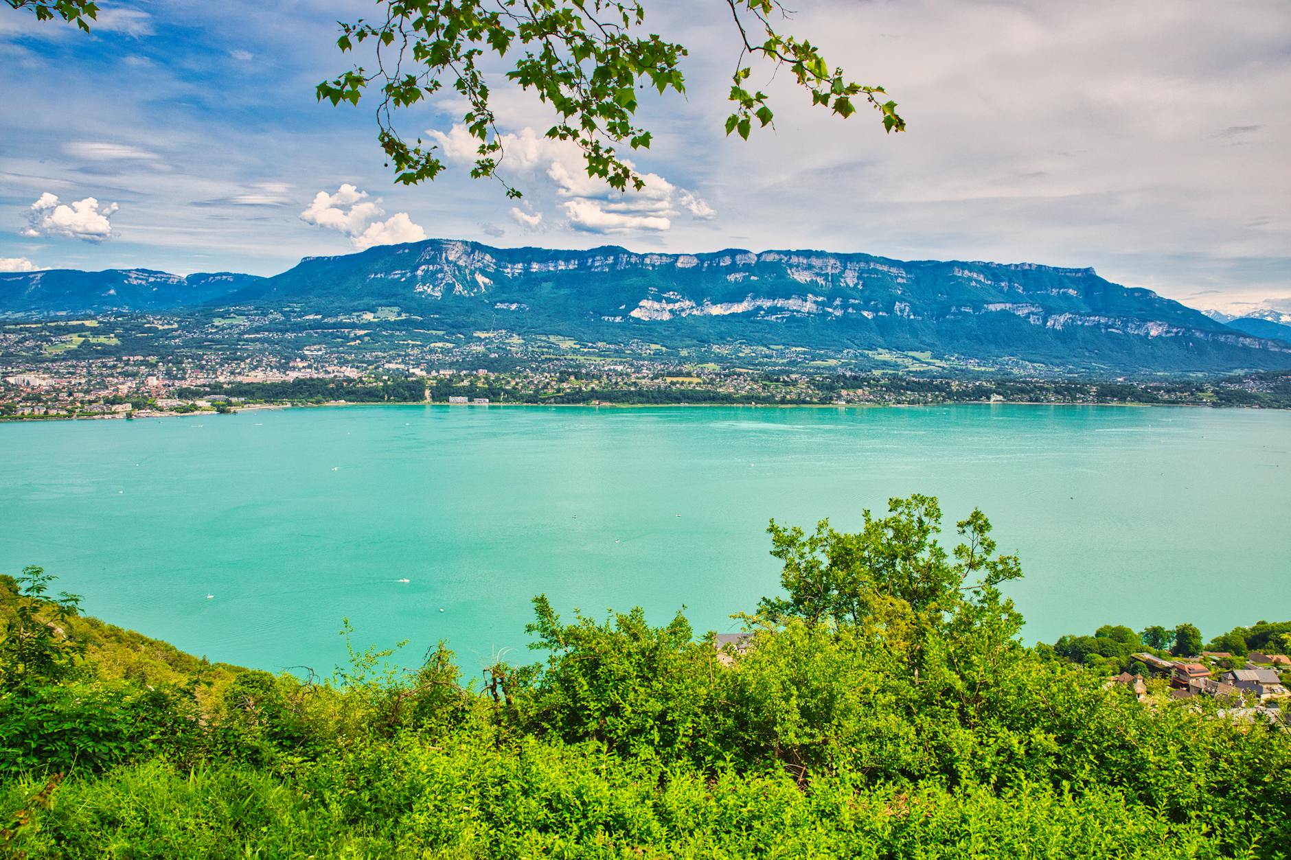 Bouquetins des Alpes Parc national Vanoise Savoie glacier