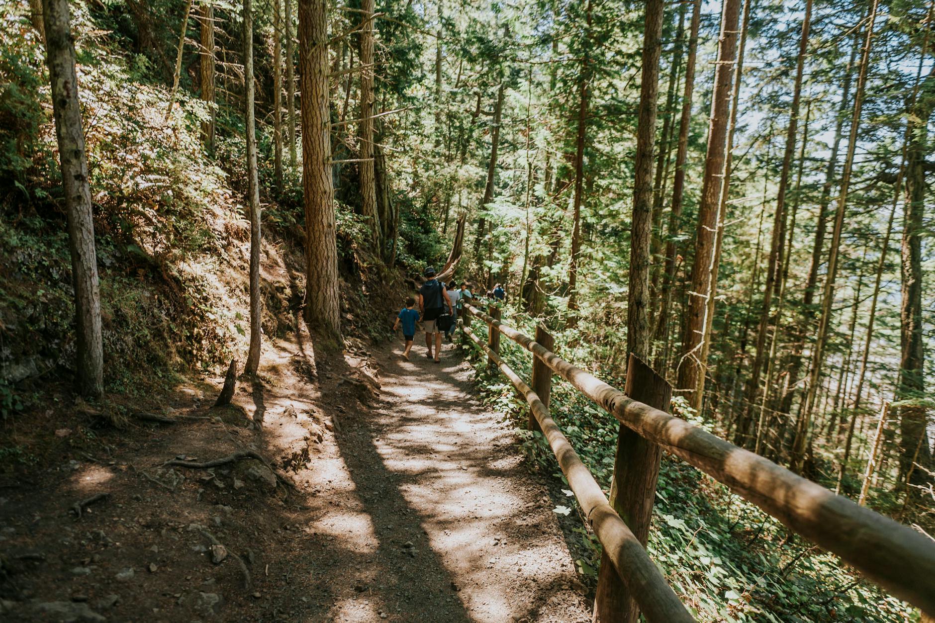 Famille en randonnée enfants sac à dos montagne nature