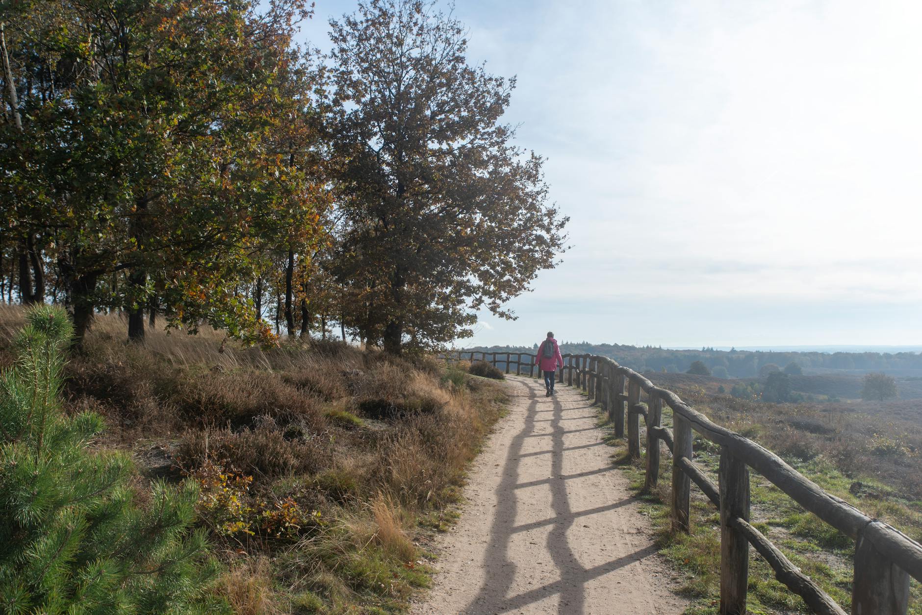 Landes des Monts d'Arrée en Bretagne