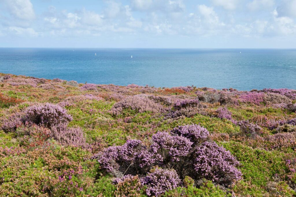 Randonnée en Bretagne intérieure en 2026 : Monts d'Arrée, GR37 et Kalon Menez Are