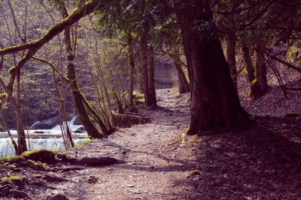Randonnée dans le Jura en 2026 : cascades, reculées et plateaux calcaires