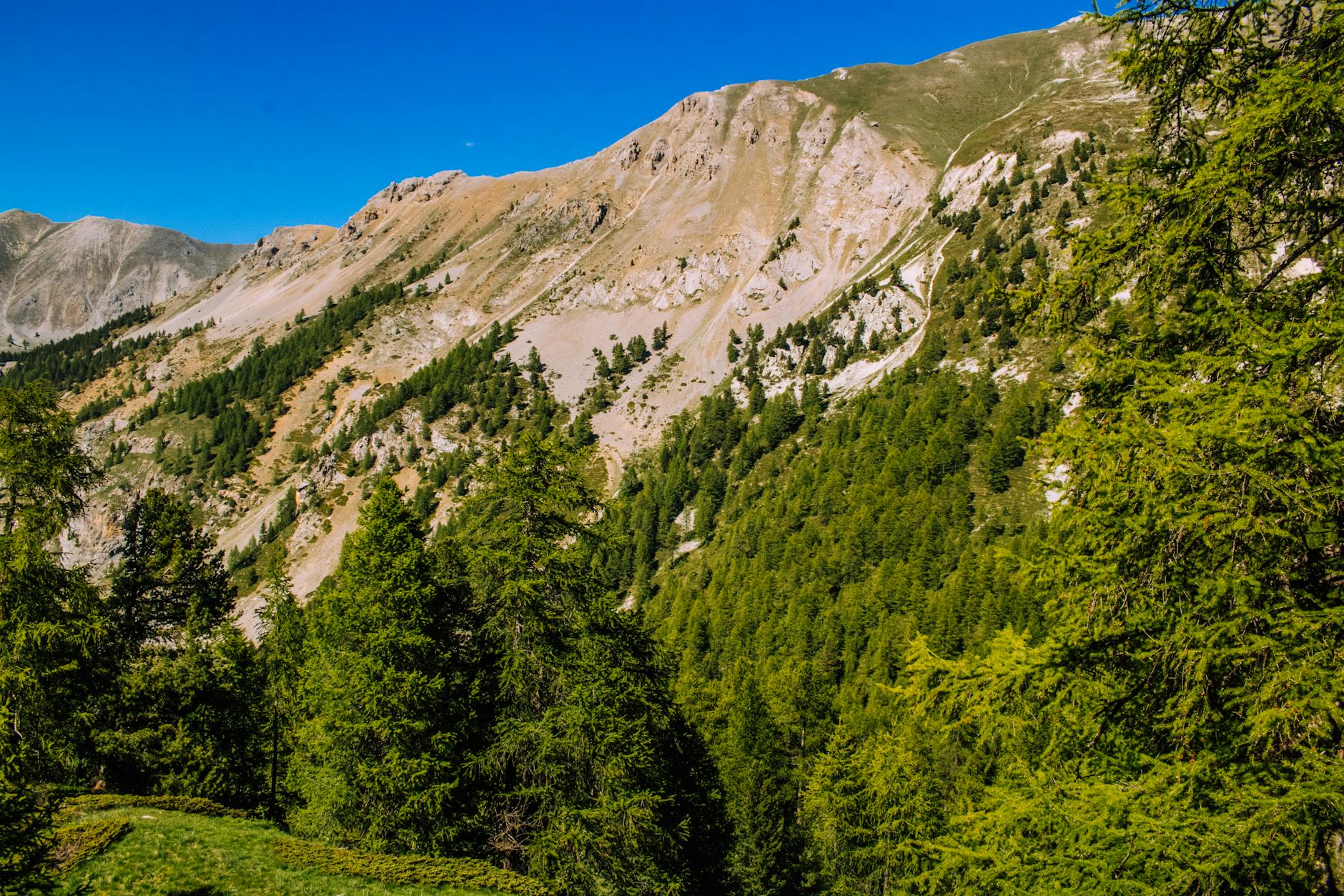 Mont Ventoux sommet Provence éboulis calcaires
