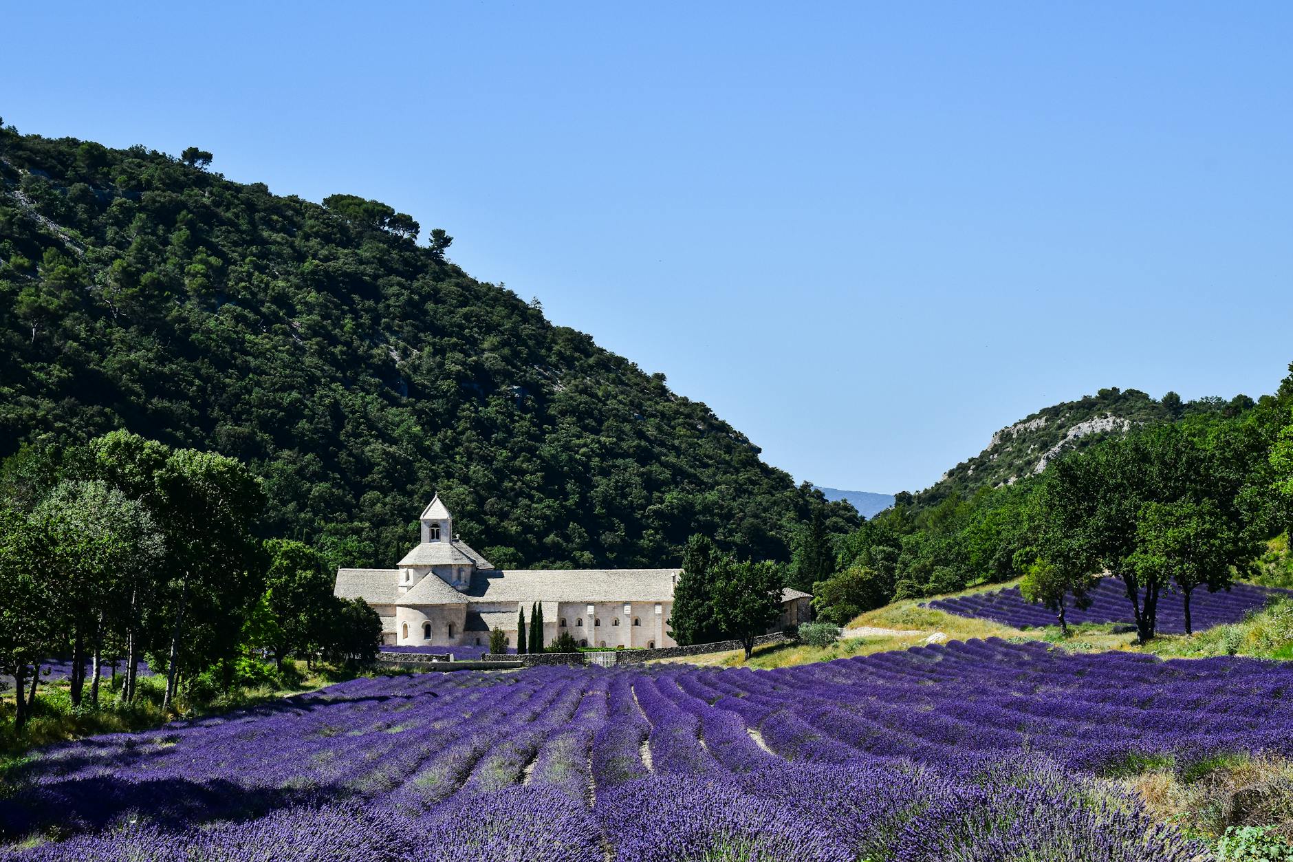 Randonnée en Provence en 2026 : Luberon, Sainte-Victoire et Calanques