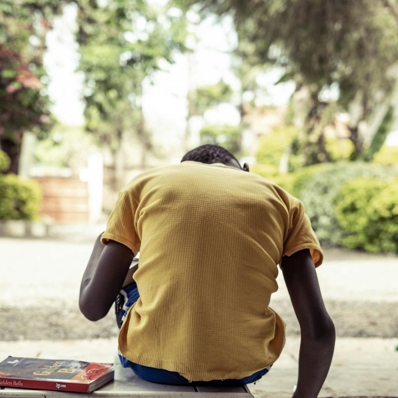 Enfant lisant un livre sur la nature et la montagne en plein air, gros plan sur les pages illustrées