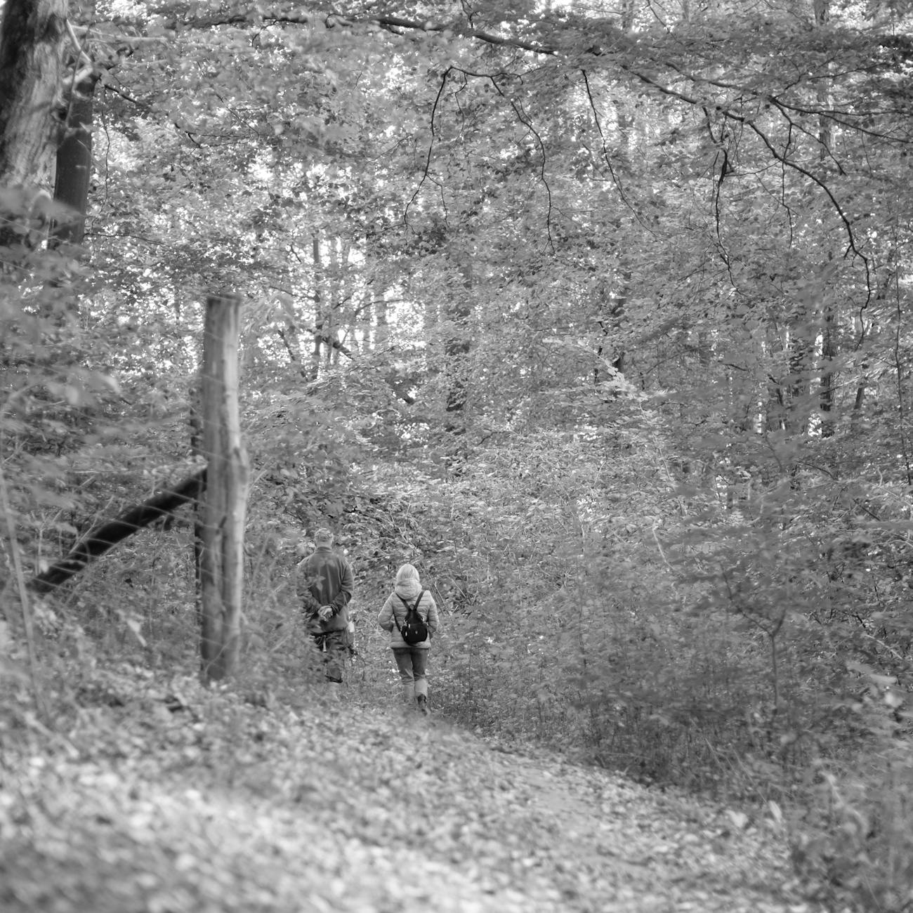 Randonneur sur un sentier caillouteux et escarpé lors de l'ascension du Mont Ventoux par un itinéraire balisé
