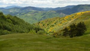 GR70 Stevenson : 12 jours en Cévennes