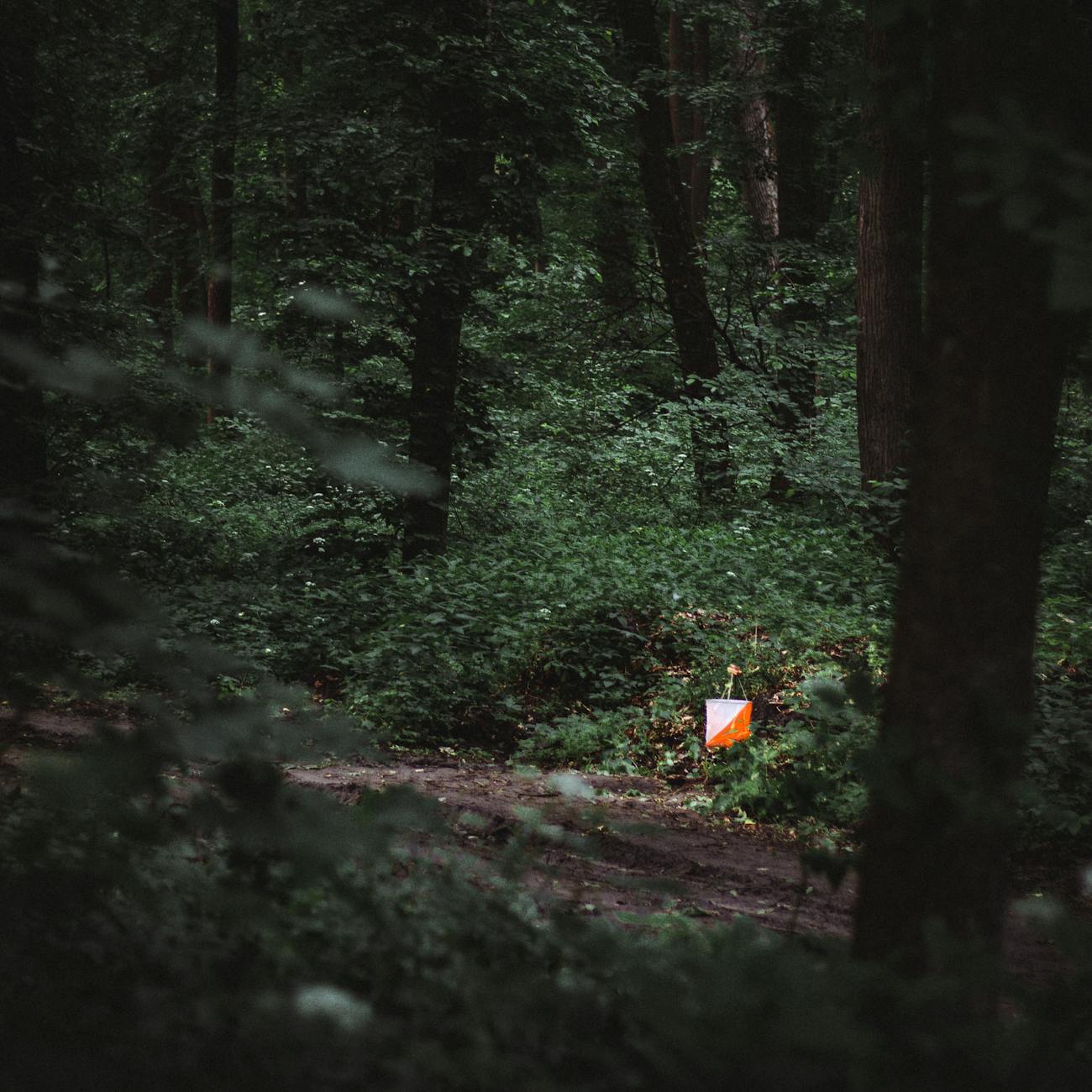 Fauteuil roulant sur un chemin de nature aménagé, sentier forestier accessible en plein air