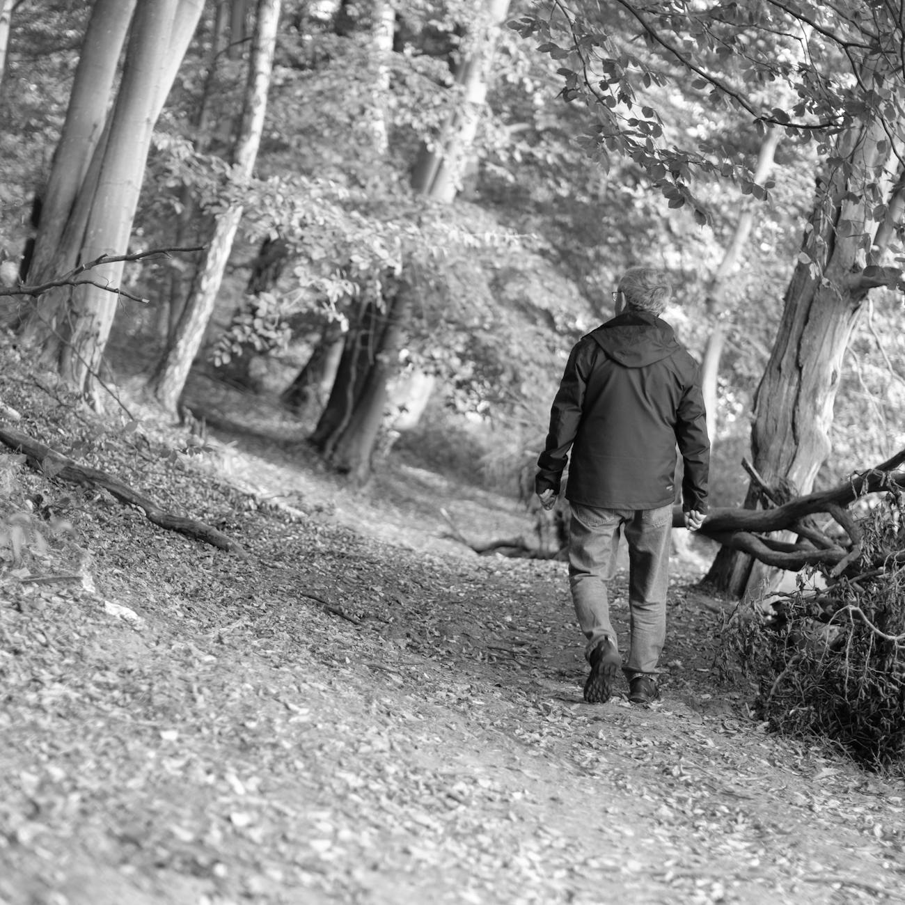 Randonneur senior avec bâtons de marche progressant en sous-bois, posture de sécurité adaptée