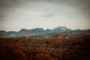 Top randonnées Vosges automne : 7 itinéraires flamboyants en 2026