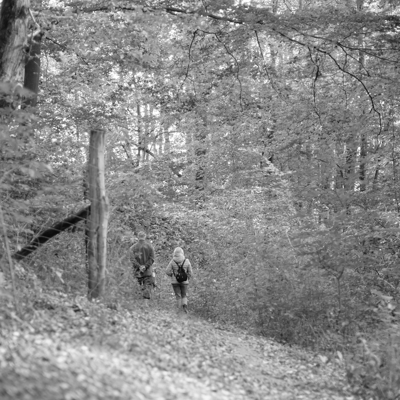 Randonneur avec sac à dos sur un sentier étroit respectant le tracé existant en pleine nature