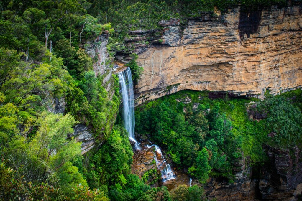 Cascade tropicale plongeant dans la forêt humide du parc national de la Guadeloupe à Basse-Terre