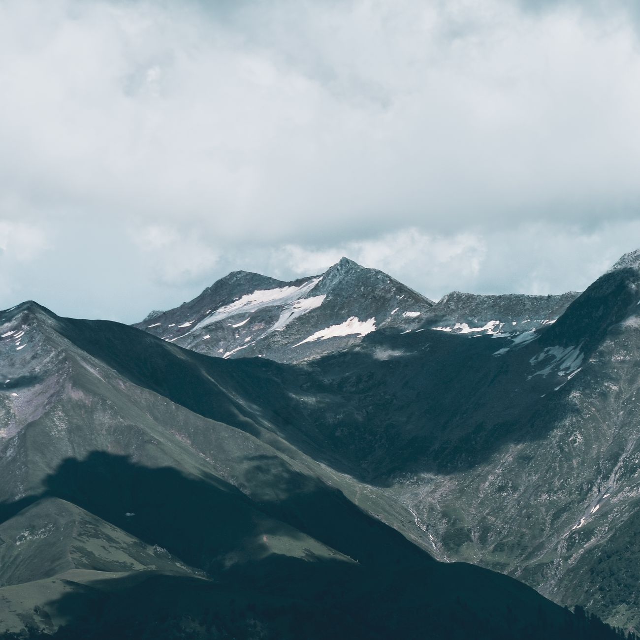 Bouquetin des Alpes observé sur les hauteurs rocheuses du massif du Mercantour