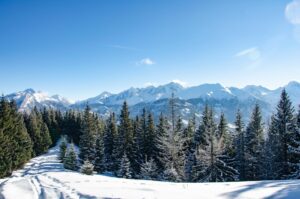 Sapin de Noël en randonnée : tradition alpine