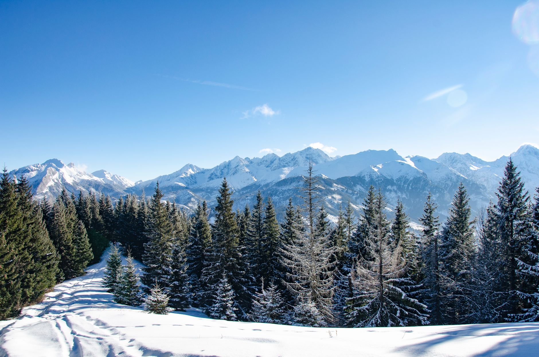 Forêt de sapins enneigée en montagne alpine sous un ciel d'hiver, paysage de randonnée hivernale