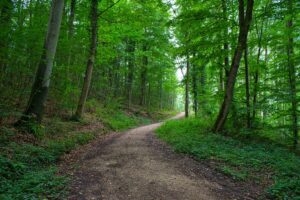 Balades 1h en France : top 10 2026