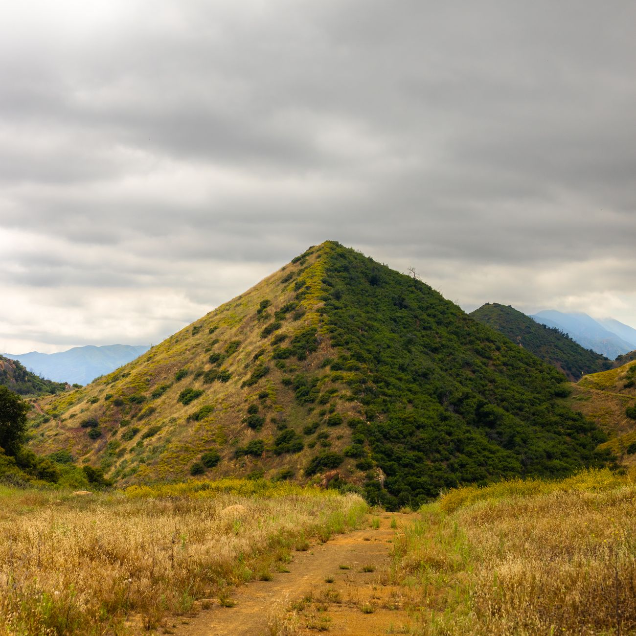 Sentier de randonnée serpentant sur les crêtes du Massif Central en été