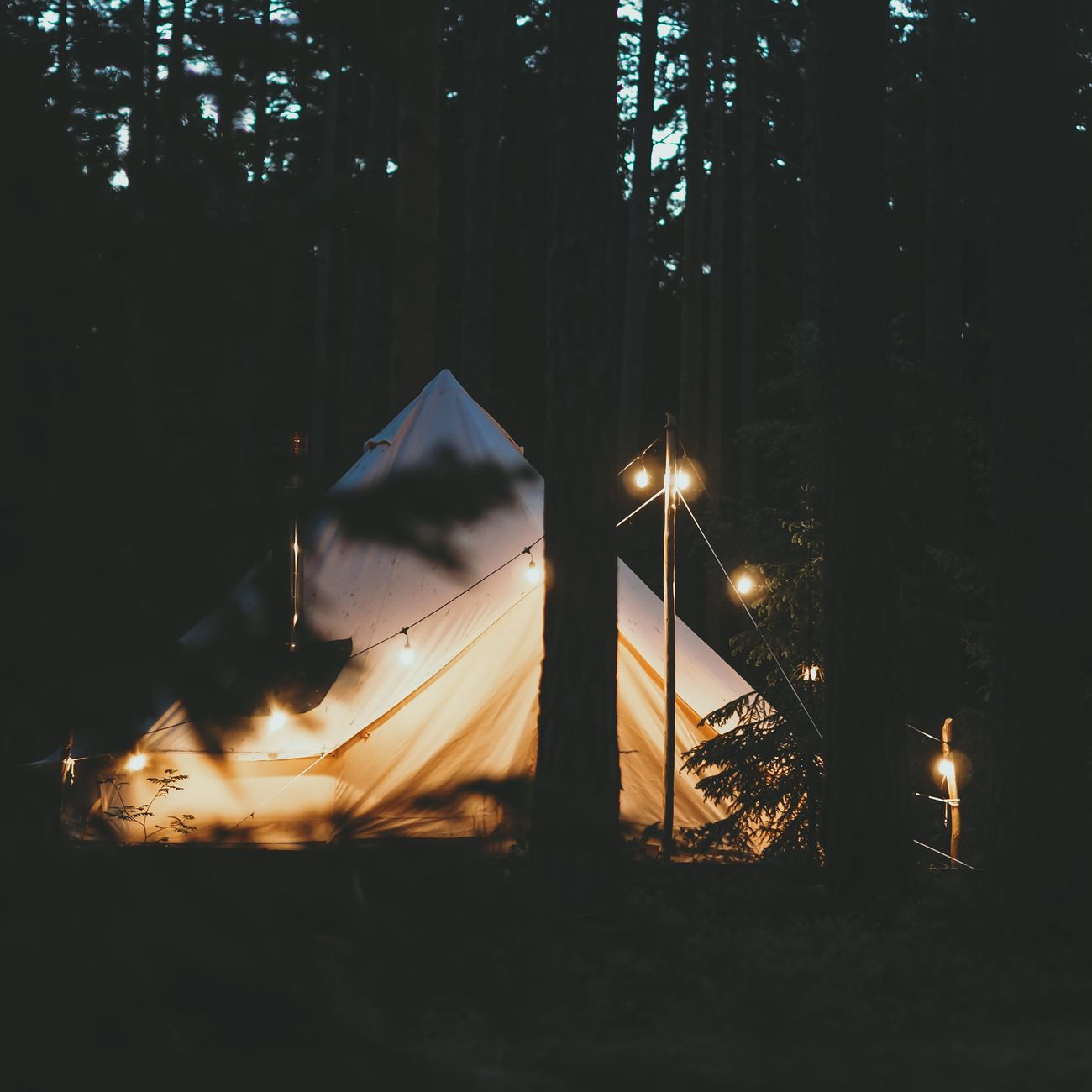 Tente de bivouac éclairée sous un ciel constellé d'étoiles en moyenne montagne cévenole