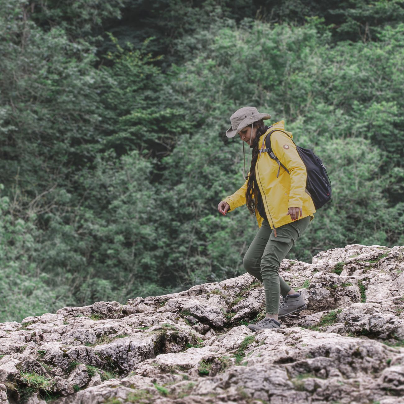 Sentier de randonnée balisé traversant une forêt cévenole typique, illustrant les chemins du parc national empruntés par les marcheurs
