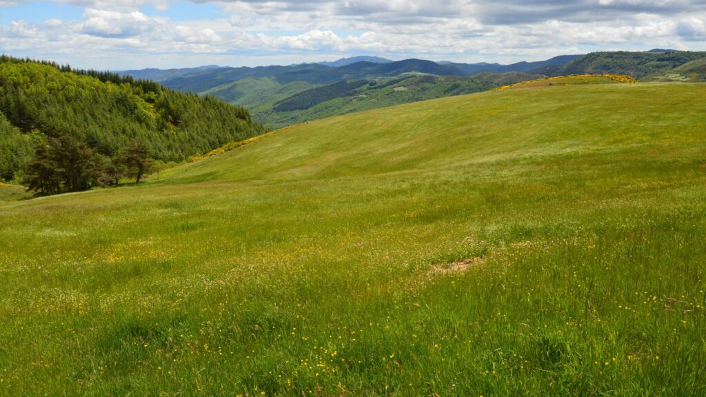 Panorama sur les crêtes boisées et les vallées cévenoles du Parc national des Cévennes, terrain de randonnée entre Mont Lozère et Causses