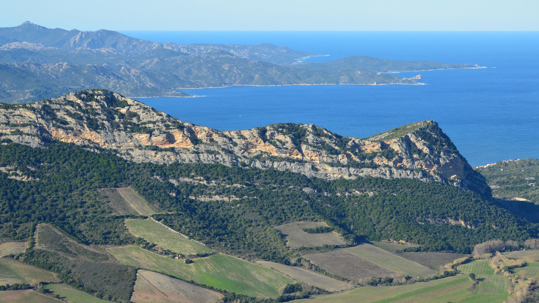 Sentier de randonnée serpentant entre des rangs de vigne, illustrant les itinéraires gourmands prisés par les marcheurs en 2026.