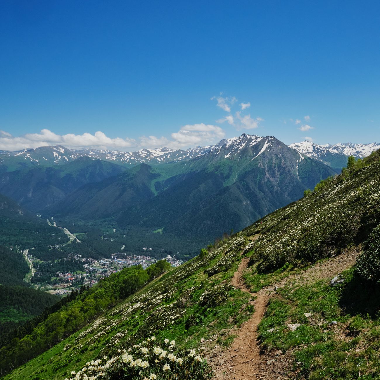 Gros plan sur des chaussures de randonnée et un panneau de balisage en bois sur un sentier rocailleux alpin du Mercantour