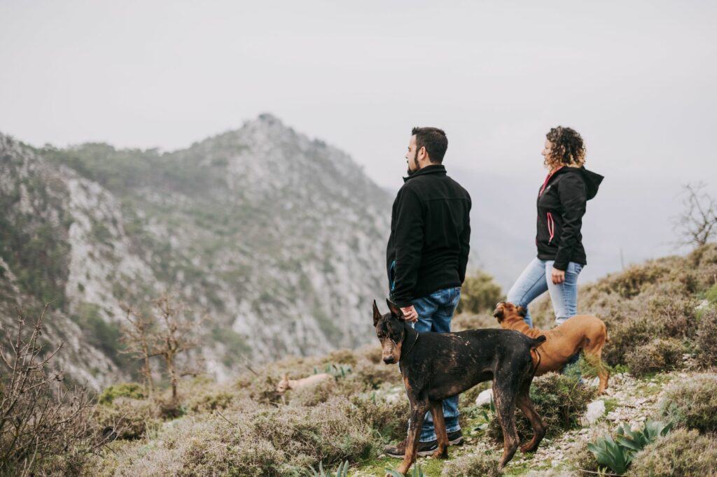 Randonneur et son chien tenu en laisse sur un sentier de montagne panoramique en France, paysage sauvage propice à la randonnée canine