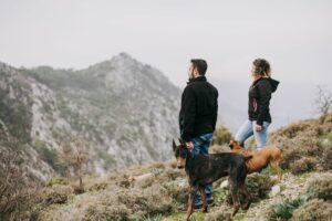 Randos avec chien : meilleurs spots France