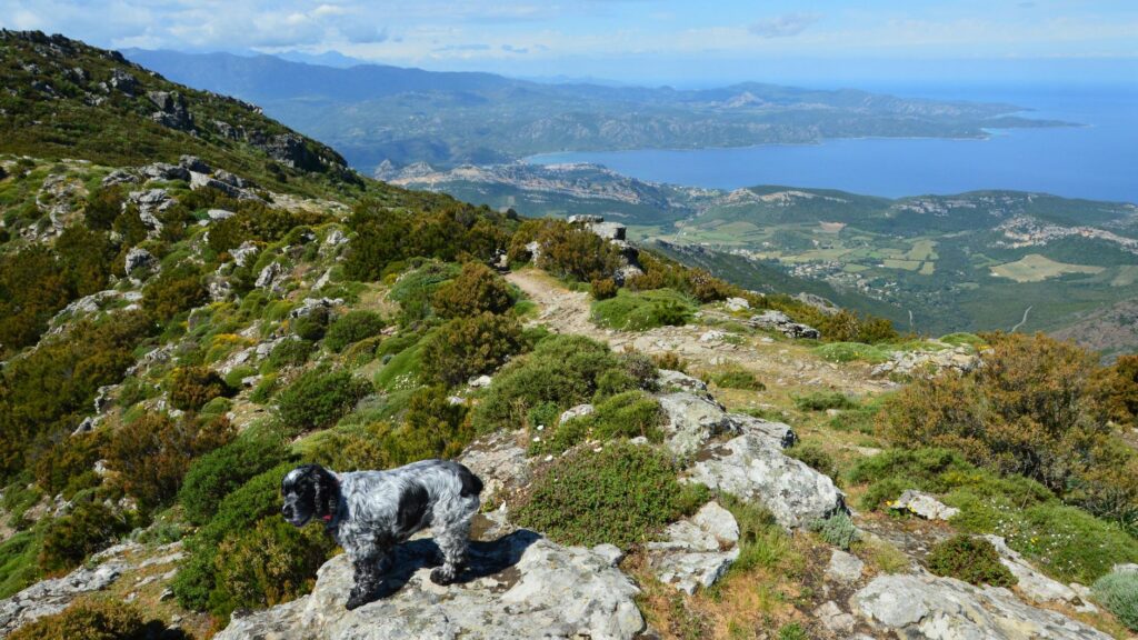 Crêtes granitiques de la montagne corse au-dessus d'une vallée, paysage typique traversé par le GR20