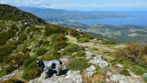 GR20 : étapes sud ou nord, que choisir