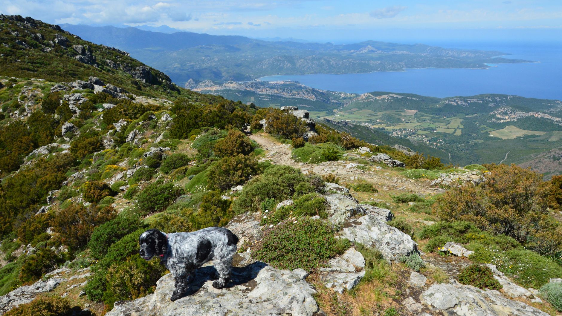 Crêtes granitiques de la montagne corse au-dessus d'une vallée, paysage typique traversé par le GR20