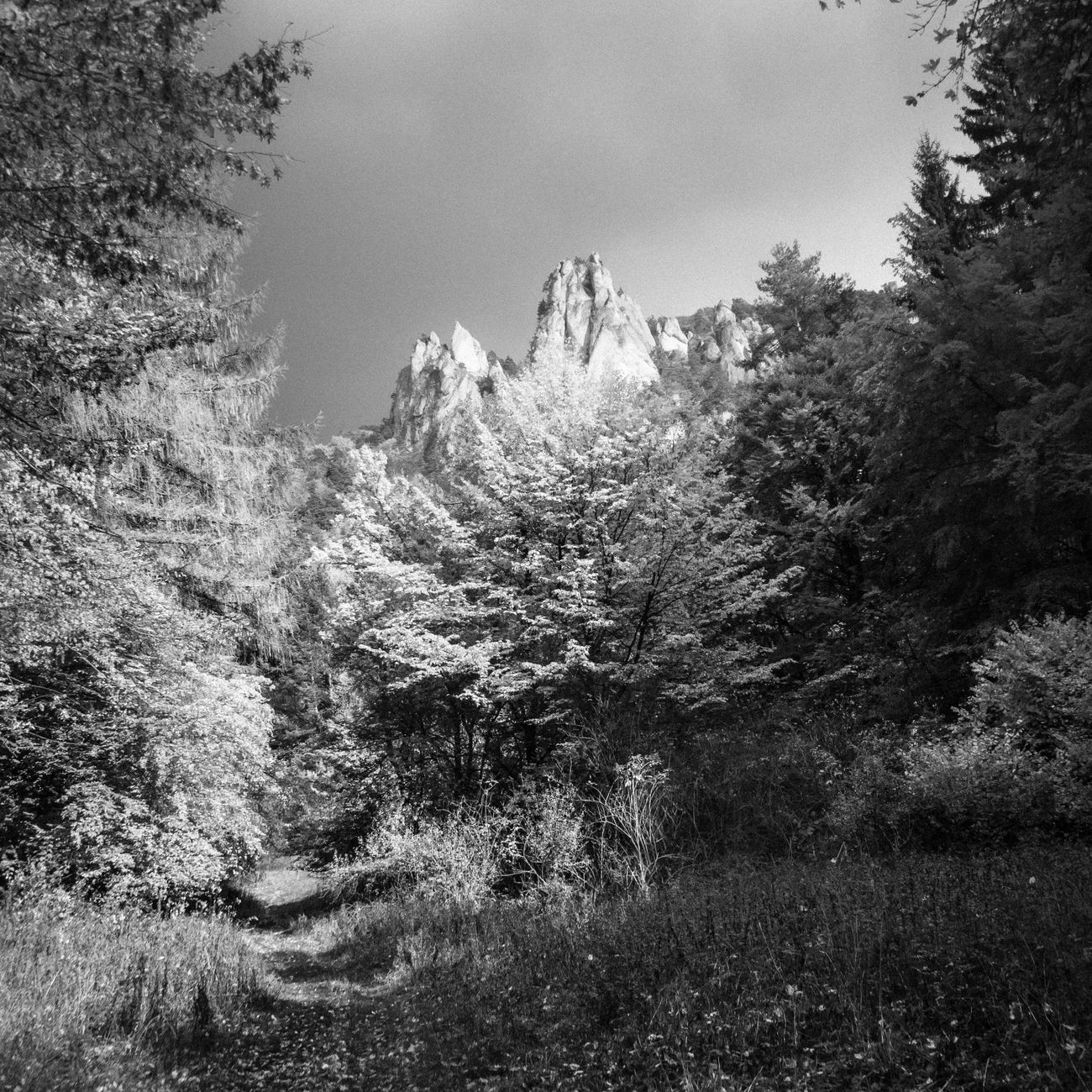 Détail du sentier des douaniers GR34 sur la côte bretonne, rochers et chemin balisé au bord de l'océan