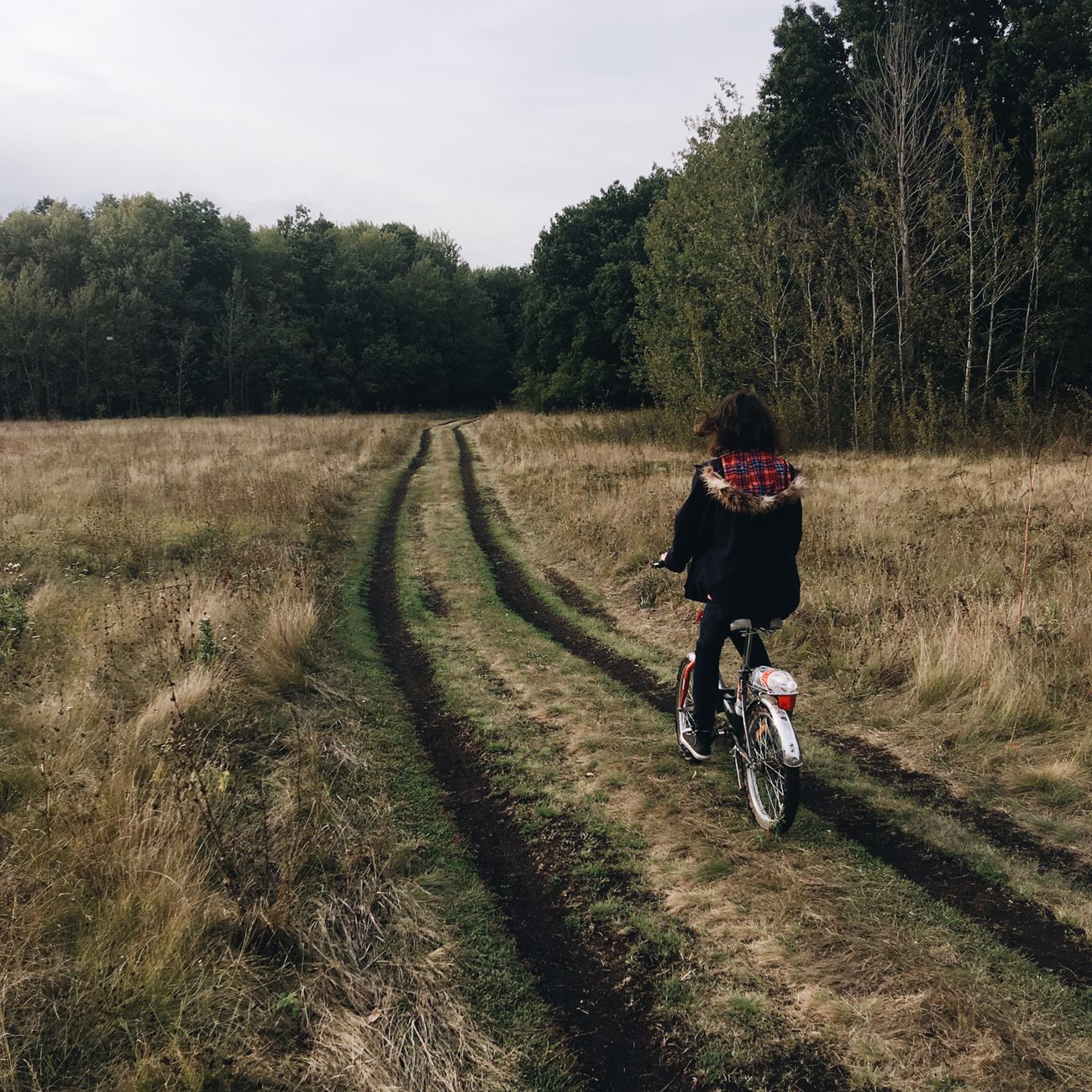 Enfant explorant la nature de près lors d'une randonnée en famille, observation de plantes en extérieur