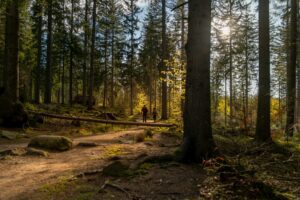 Uriner en nature : bonnes pratiques écolo