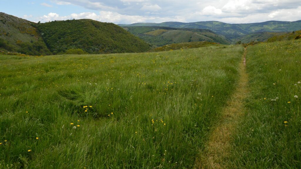 Sentier de randonnée serpentant entre collines et vallons, paysage typique d'un GR de Pays en France