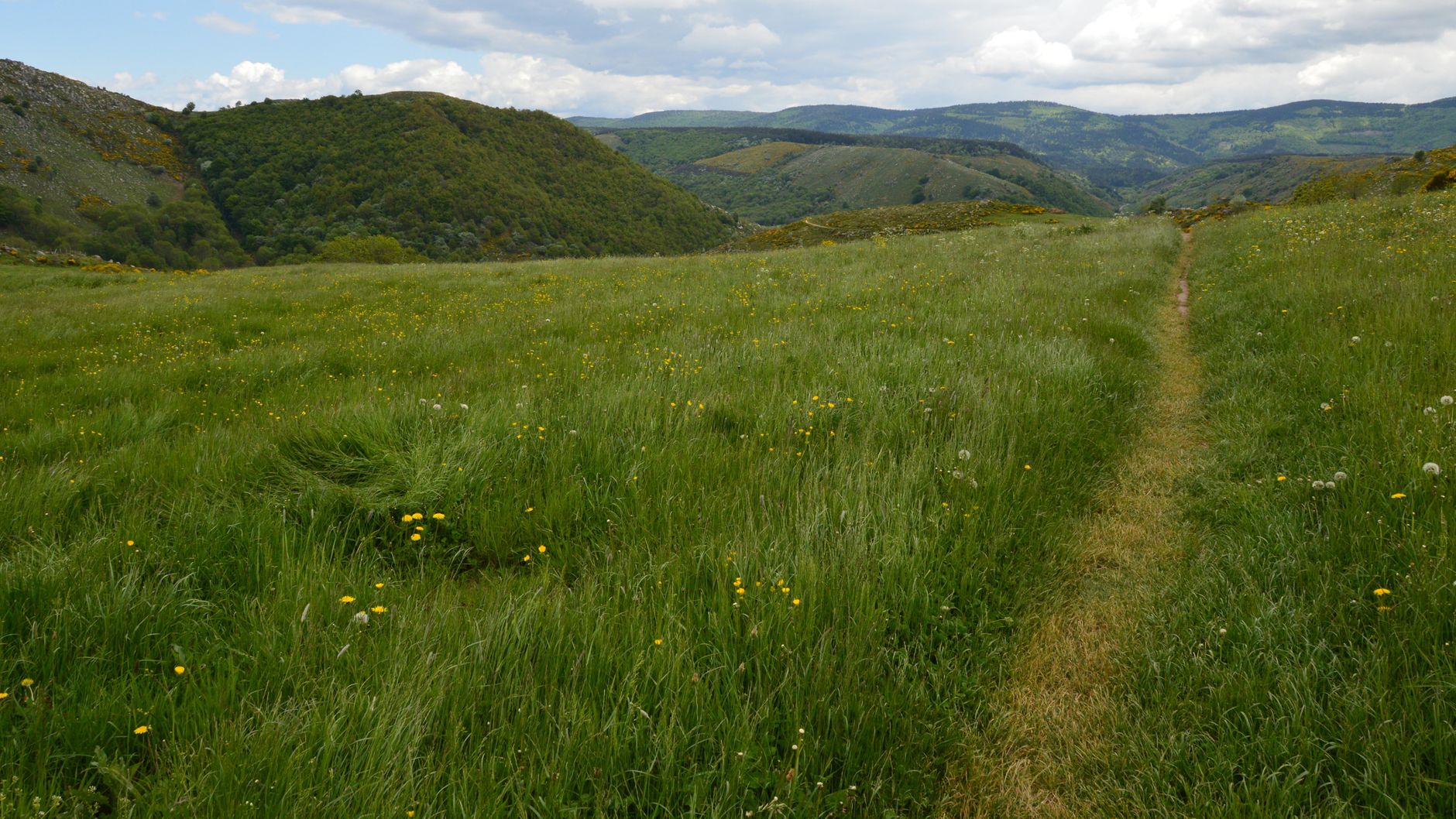 Sentier de randonnée serpentant entre collines et vallons, paysage typique d'un GR de Pays en France