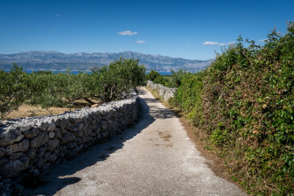 Sentier côtier de l'île de Port-Cros dominant une crique méditerranéenne bordée de pins et de maquis