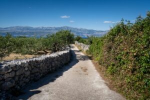 Parc national de Port-Cros : la mer et la rando
