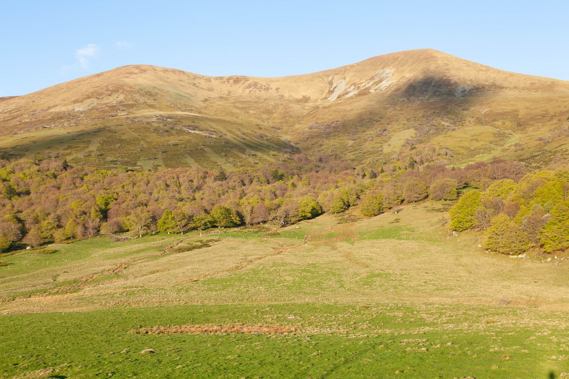 Panorama de la chaîne des Puys en Auvergne avec ses cônes volcaniques boisés sous un ciel dégagé